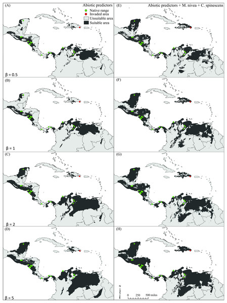 Binary maps showing potential distribution of Eurypedus nigrosignatus.