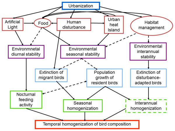 Schematic diagram of intervening factors and possible mechanisms influencing the temporal dynamics of bird composition in urban areas.