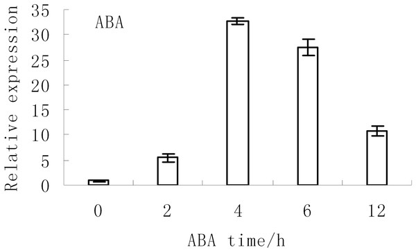 Expression analysis of BjABR1 in tuber mustard under ABA condition.