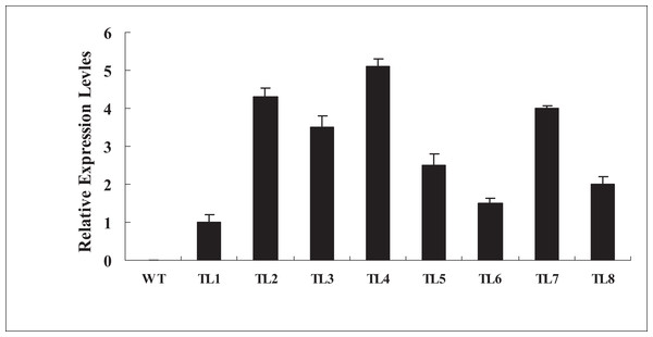 qRT-PCR analysis of BjABR1 expressing in wild-type Arabidopsis and transgenic lines.