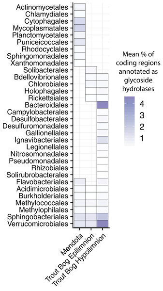 Glycoside hydrolase content in the MAGs.