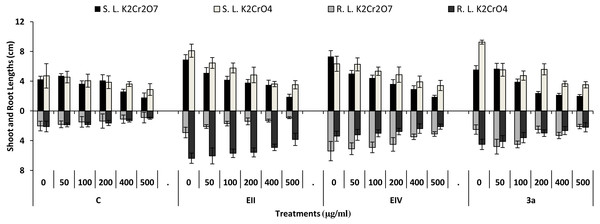 Effect of bacterial inoculations (K2Cr2O7 and K2CrO4(0–500 µgml−1)) on SL and RL (cm) of Lens culinaris (C, without bacterial inoculation; EII, EIV and 3a, bacterial isolates).