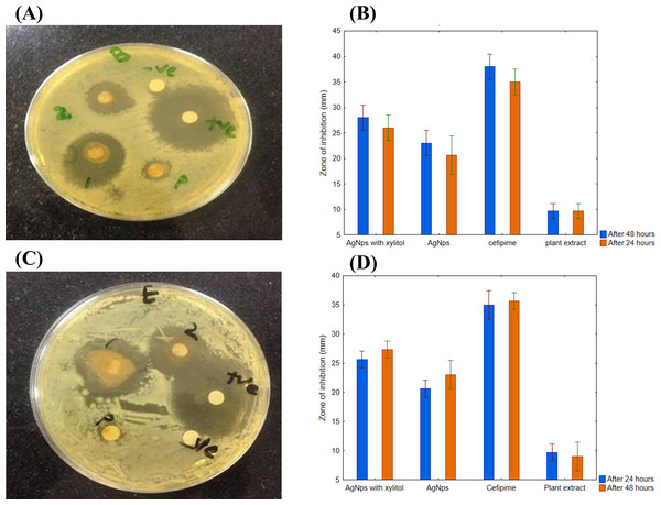 Time-dependent antimicrobial activity of AgNPs.