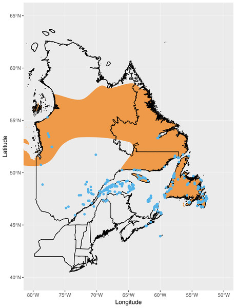 Observations of Fox Sparrow during June and July in eastern Canada reported to eBird as of July 1990 (blue points), the approximate point at which observations of Fox Sparrows during the summer began increasing in Maine.