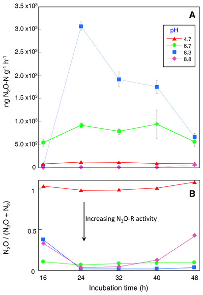 Denitrification enzyme activity assay results.