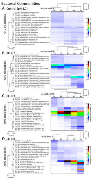 Matrix plots of the relative abundance and clustering of the 20 bacterial OTUs with the highest contribution to total sequence counts across incubation times for each pH treatment.