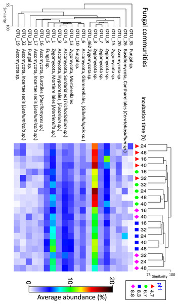 Matrix plot representing the relative abundance and clustering of the 20 fungal OTUs with the highest contribution to total sequence counts across incubation time and pH treatment.