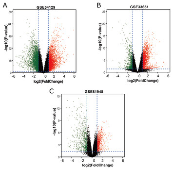 In silico analyses for potential key genes associated with gastric ...