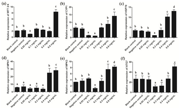 Relative expression levels of T. thermophila stress-related genes after gelsemine treatment for 24 h.