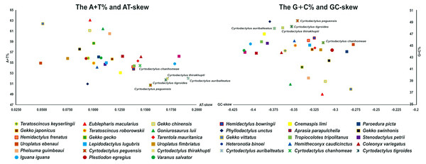 AT-skew versus A+T% and GC-skew versus G+C% in Cyrtodactylus and gecko lizard mitochondrial genomes (mitogenomes).