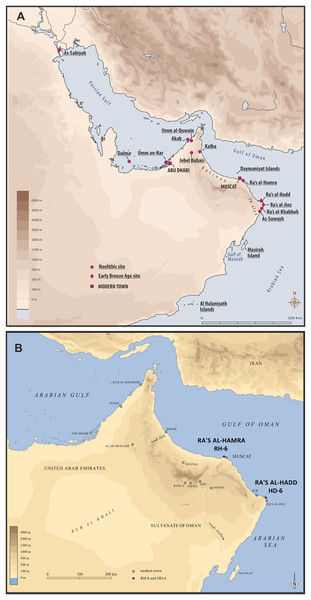 Two coastal headlands are central to the present study: Ra’s al-Hamra, on the eastern limit of the sandy coast of Batinah, and Ra’s al-Hadd, at the easternmost extreme of the Ja’alan region.