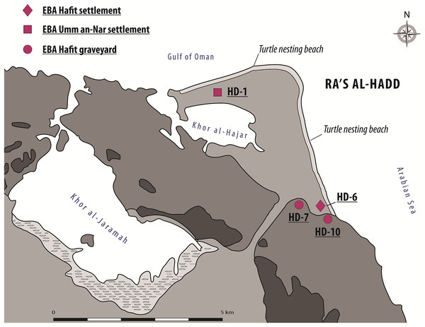 The Ra’s al-Hadd area, showing locations of archeological sites mentioned in the text, as well as present-day turtle nesting beaches.