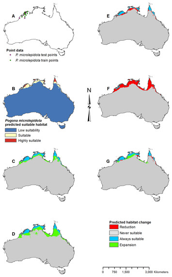 Niche modeling for the genus Pogona (Squamata: Agamidae) in Australia ...