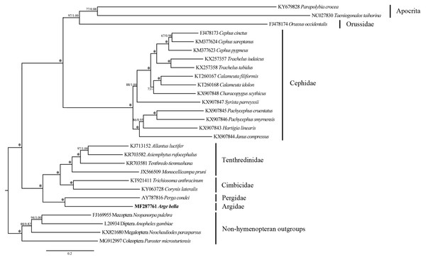 Phylogenetic tree of Symphyta and selected apocritan and outgroup taxa, based on a Maximum-likelihood analysis of sequence data from 13 PCGs and 2 rRNA genes.