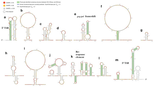 ScanFold-Fold identified base pairs in the HIV-1 genome.