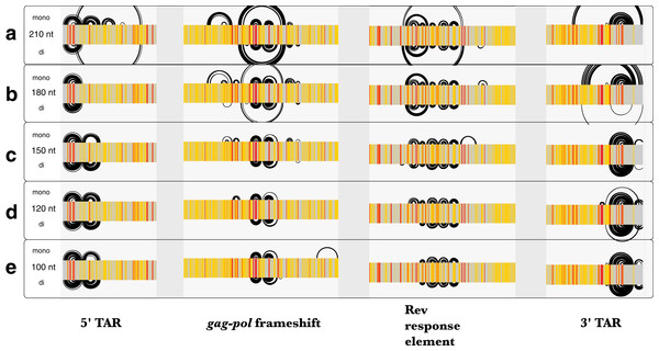 Comparison of ScanFold-Fold results for known HIV-1 structures against SHAPE reactivity data when using different shuffling and window sizes.