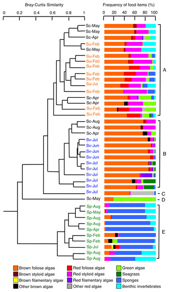 Dendrogram for the hierarchical clustering of the 40 rabbitfish individuals (4 species × 10 individuals) based on the similarity of food items (group-average linkage method using the Bray–Curtis similarity index).