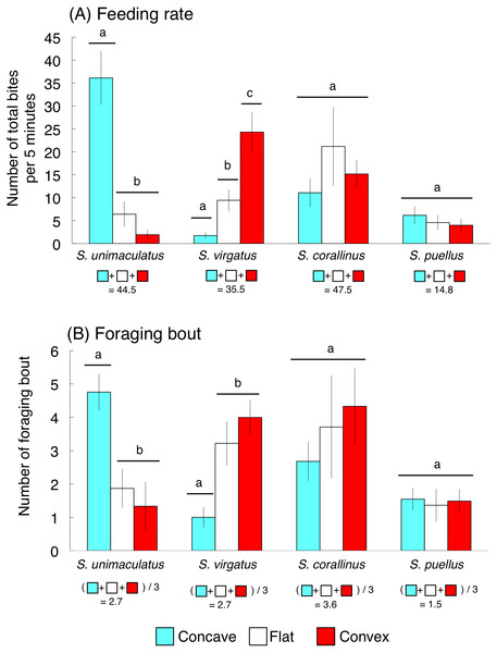 Feeding rates and numbers of foraging bouts (number of bites during a continuous feeding period) for the four rabbitfish species.