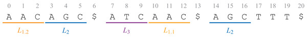 The text T = AACAGC$ATCAAC$AGCTTT$, with three sequences, is labeled with the label string A = L1.2 L1.2 L1.2 L2 L2 L2 ε L3 L3 L3 L1.1 L1.1 L1.1 ε L2 L2 L2 ε ε ε ε.