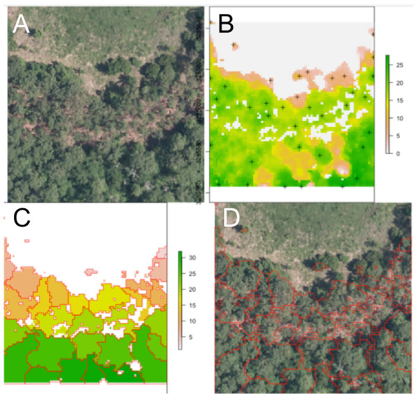 Segmentation results for one plot.