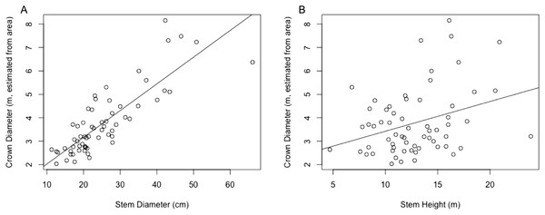 (A) Linear regression for stem diameter (cm) vs. crown diameter (m) as estimated from crown area. (B) Linear regression for stem height (m) vs. crown diameter (m) as estimated from crown area.