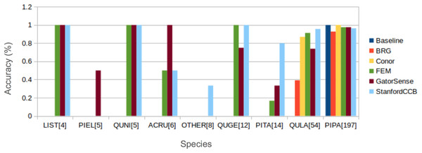 Comparison of Rank-1 classification accuracy by species.