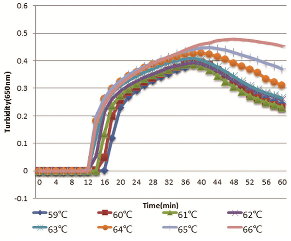 Optimal temperature assay of RT-LAMP.