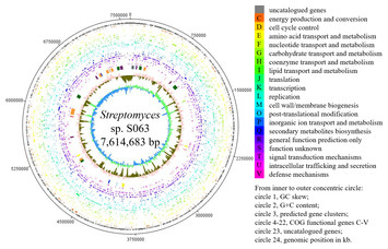 streptomyces s063 genome
