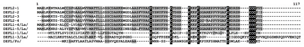 Multiple sequence alignment of T. kiharae group 2 DEFLs.