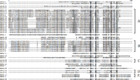 Defensin-like peptides in wheat analyzed by whole-transcriptome ...