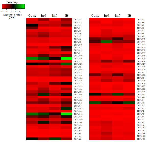Heatmap of differentially expressed DEFL genes.