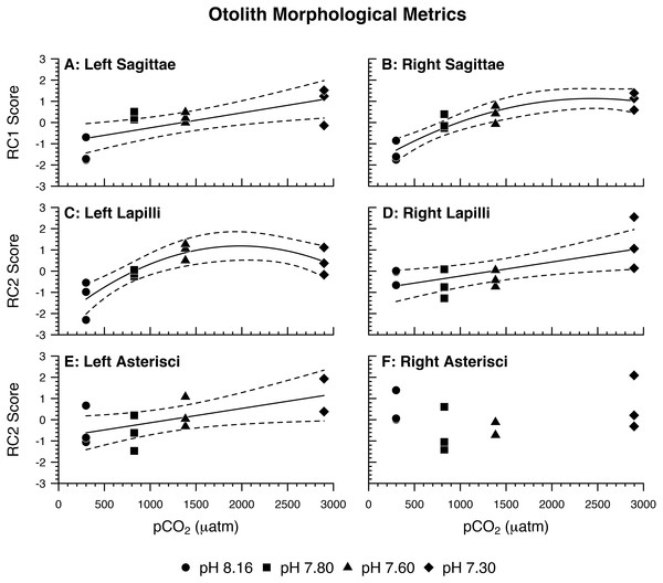 Otolith morphological metrics.