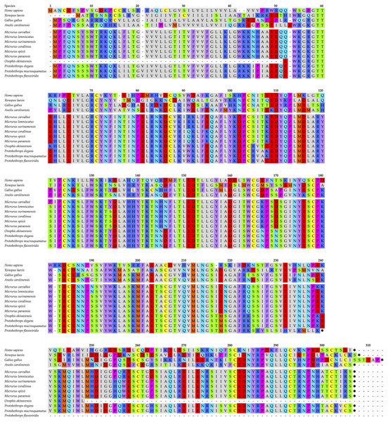 Alignment of 10 snake venom NADases with human, frog, and chicken CD38 sequences.
