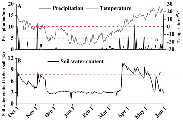 Precipitation, temperature (A), and soil water content (B) of study area from October 1, 2016 to June 1, 2017.