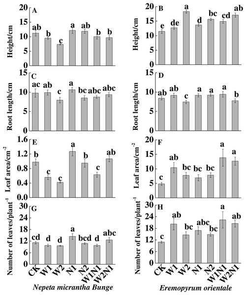 Effects of increased precipitation and nitrogen and precipitation plus nitrogen treatments on plant traits (mean ± 1s.e.) of Nepeta micrantha (A, C, E, G) and Eremopyrum distans (B, D, F, H).