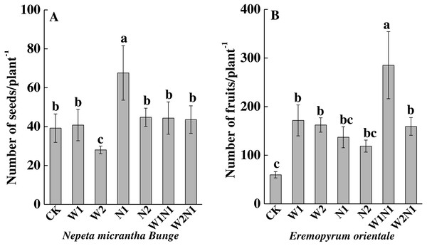 Effects of increased precipitation and nitrogen and precipitation plus nitrogen on seed number per plant (mean ± 1s.e) of Nepeta micrantha (A) and Eremopyrum distans (B).