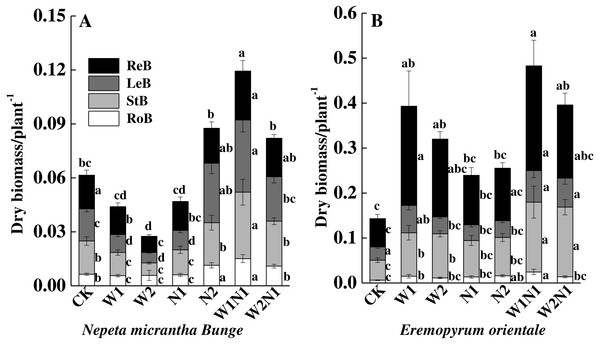 Effects of increased precipitation and nitrogen and precipitation plus nitrogen on dry mass accumulation (mean ± 1s.e) of Nepeta micrantha (A) and Eremopyrum distans (B).