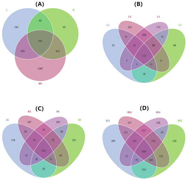 Venn diagrams of shared OTUs (number of OTUs) across three compartments of S. vulgaris plants and four sampling locations.