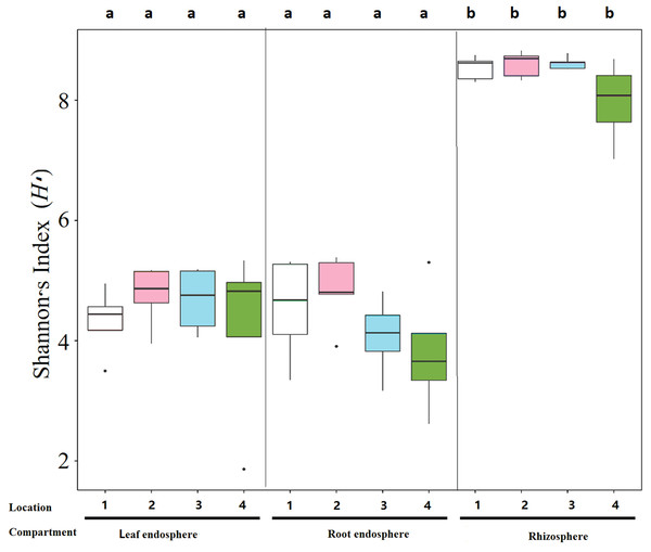 Boxplots of the estimated Shannon index (H′) in the bacterial communities of each compartment of S. vulgaris plants and sampling locations.