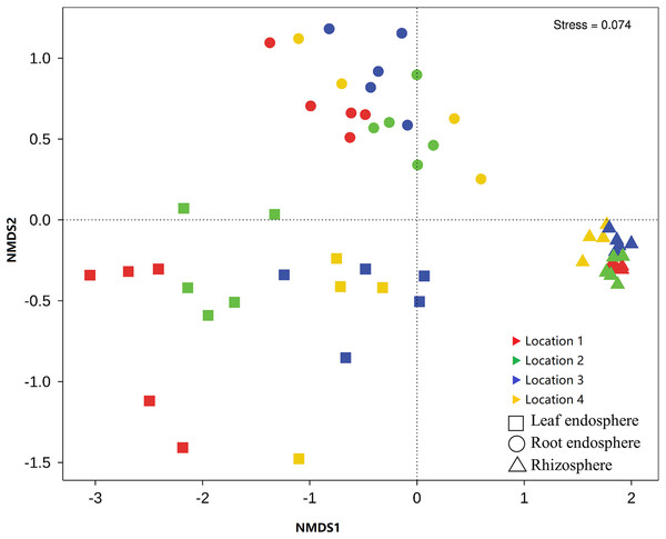 Nonmetric multidimensional scaling (NMDS) plots for Bray–Curtis distances of the bacterial communities associated with each compartment of Senecio vulgaris plants and sampling locations.