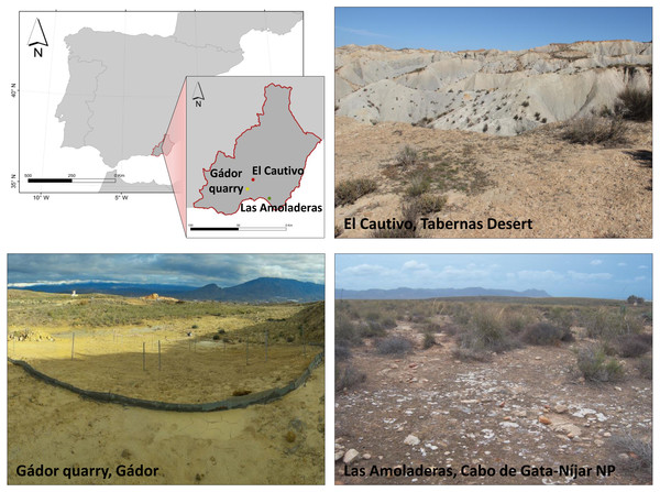 Location and general view of sampling sites.