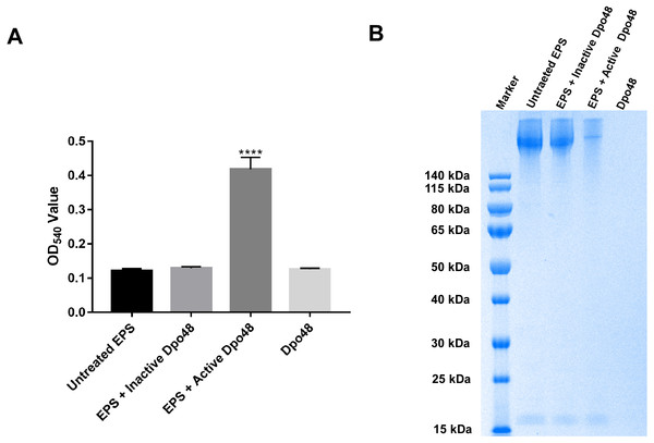 Bacterial surface polysaccharides were degraded by Dpo48.