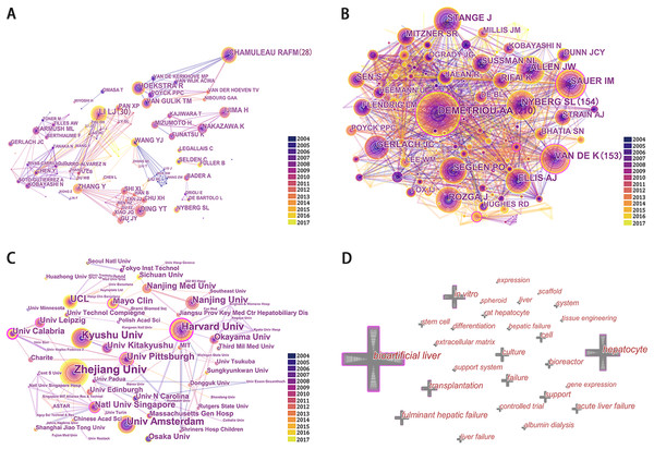 Network map of authors (A), co-cited authors (B), institutions (C), and keywords (D).