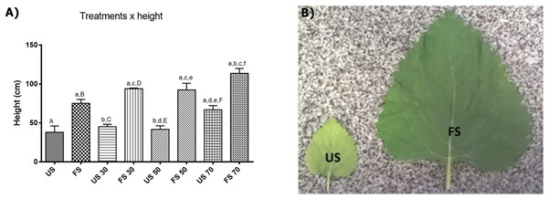 Height of plants per treatment applied (A) and leaves per treatment in soil (B).