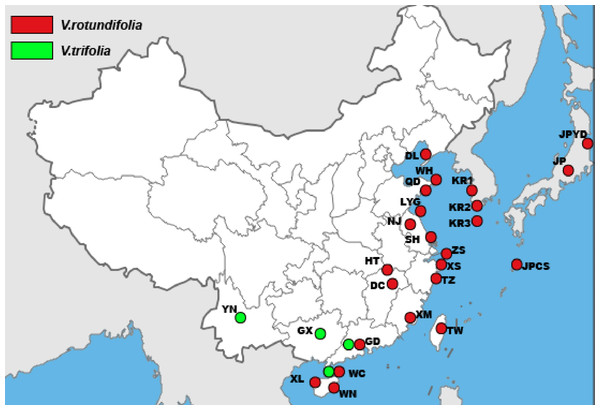 The sample locations of V. rotundifolia and V. trifolia were used in this study.