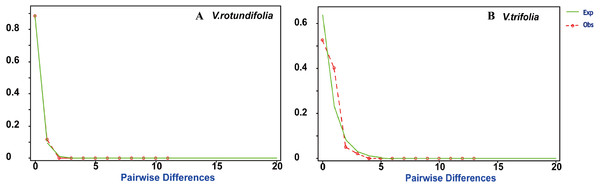 Mismatch distribution plots for V. rotundifolia and V. trifolia haplotypes.