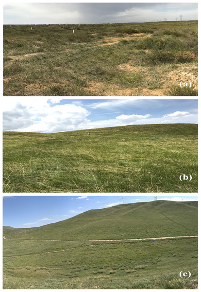 The three types of grasslands investigated in this study.