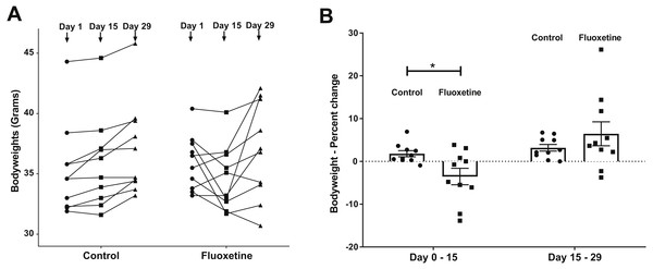 (A) Weight changes over time in control and fluoxetine-dosed mice (N = 10 per group) and (B) Percent changes in bodyweight over time in control and fluoxetine-dosed animals (N = 10 per group).
