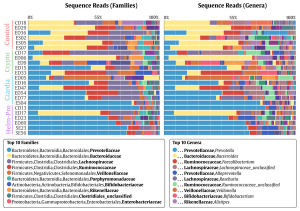  Bacterial gut microbiota comparison at Family and Genera levels per child.