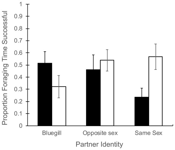 Proportion of foraging time resulting in food consumption for male and female mosquitofish.